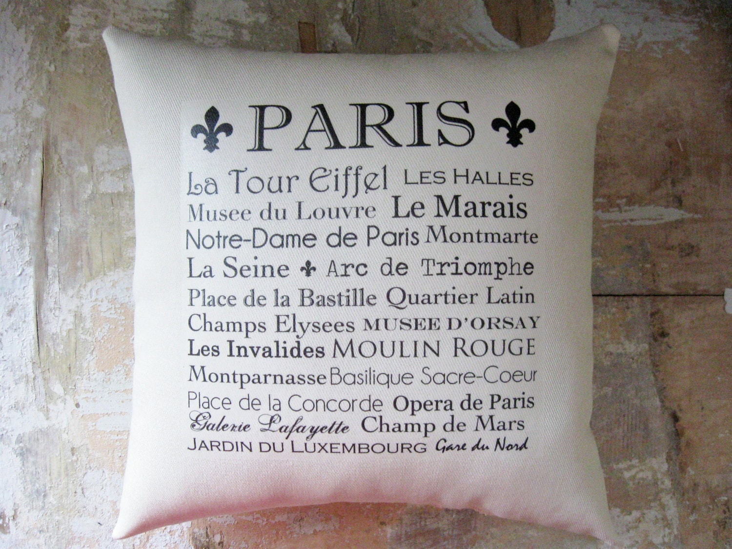 Paris Pillow, French Country Home, French Decor, Fleur de Lis, Paris Decor, Home Decor, Decorative Pillow, Housewares - parismarketplace