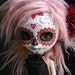Dia de los Muertos Calavera Pullip postcard