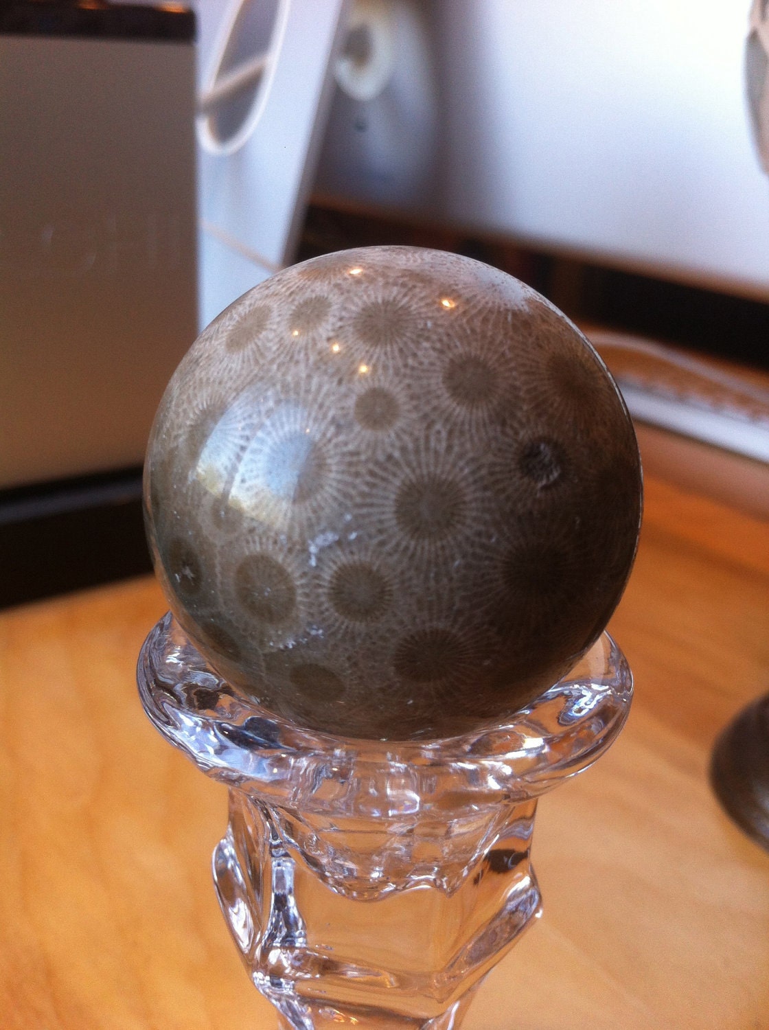 Beautiful Petoskey Stone Sphere (1.65 inch/42mm)