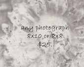 Fine Art Photograph - Choose Any 8x10 or 8x8 Print -  Beach Cottage Decor - Home Decor