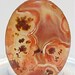 Moss Red Agate Plume Agate Oval Cabochon 18 mm x 13 mm 8 carat