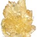 Calcite in Fossil Clam Shell Natural Mineral Specimen