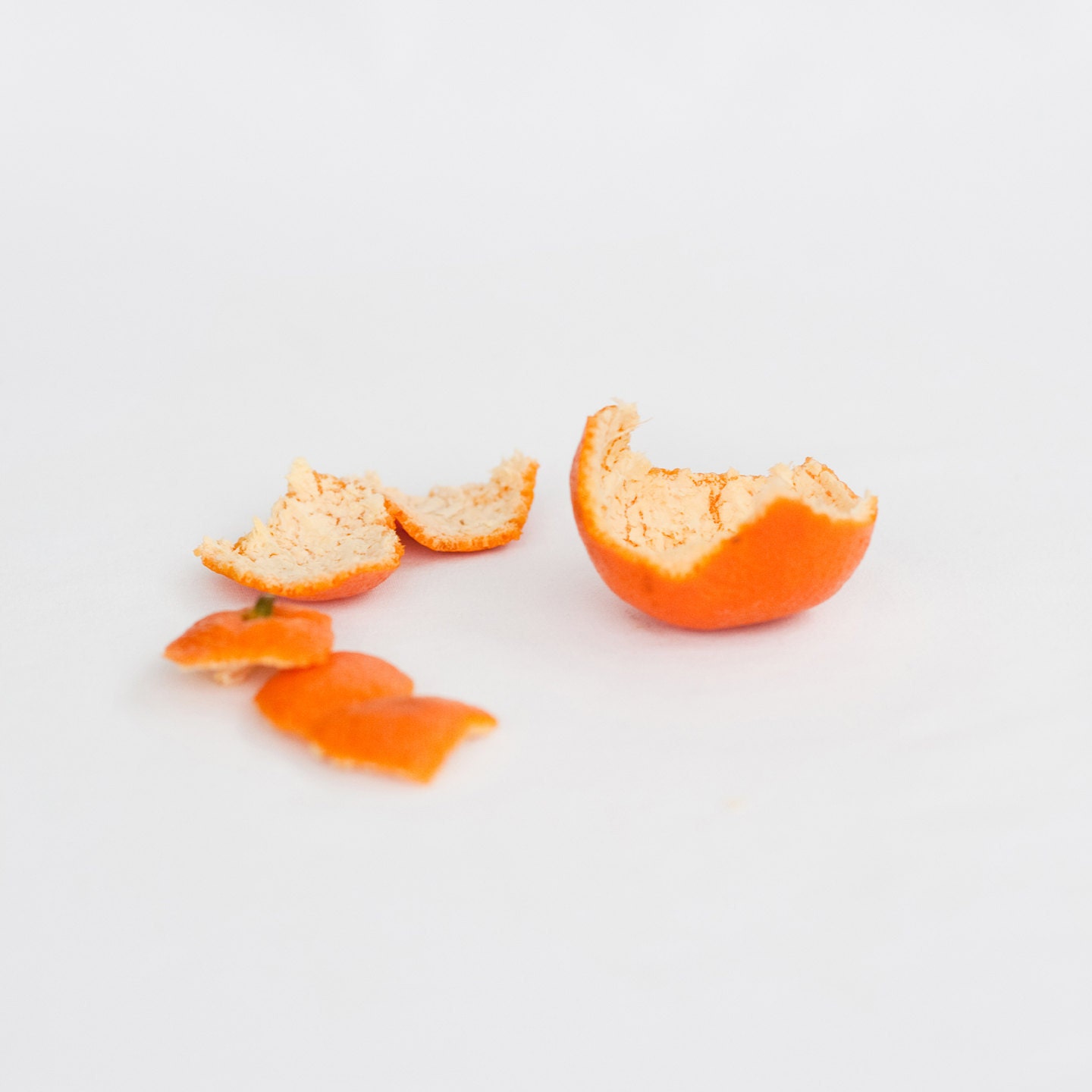 Orange Peel Fruit Food Photograph Art Print. Great for Kitchen or Nursery walls. 5x5 Archival Print