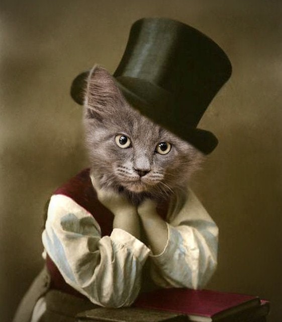 D.W. Booker - Vintage Cat 5x7 Print - Anthropomorphic - Altered Photo - Collage Art - Funny Animal - Cute Animal - Sepia - Gift Idea