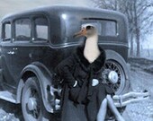 Loretta - Vintage 5x7 Print - Anthropomorphic - Altered Photo - Photo Collage Art - Gift Idea - Seagull - Whimsical Art - Vintage Bird