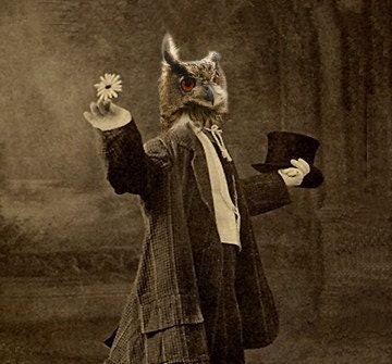 Costello  - Vintage Owl 5x7 Print - Altered Photo - Anthropomorphic - Photo Collage - Brown  - Gift Idea - Whimsical - Animal Print