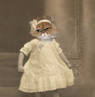 Sunny - Vintage 5x7 Cat Print - Anthropomorphic - Altered Photo - Funny Cat Print - Photo Collage Art - Whimsical Art - Gift Idea