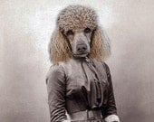 Monique - Vintage Dog 5x7 Print - Anthropomorphic - Altered Photo - Whimsical Art - Photo Collage Art - Poodle Print