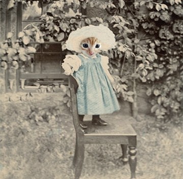 Mary Jane - Vintage Cat 5x7 Print - Anthropomorphic - Altered Photo - Photo Collage Art - Whimsical Art - Baby Animal - Sepia - Gift Idea