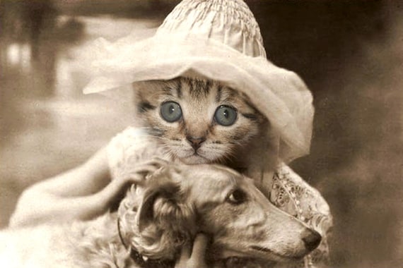 Sylvia - Vintage Cat 5x7 Print -  Cute Cat Photo - Altered Photograph - Anthropomorphic - Kitten Photo - Collage Art - Sepia