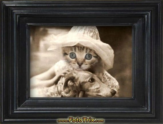 Sylvia - Vintage Cat 5x7 Print -  Cute Cat Photo - Altered Photograph - Anthropomorphic - Kitten Photo - Collage Art - Sepia