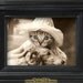 Sylvia - Vintage Cat 5x7 Print -  Cute Cat Photo - Altered Photograph - Anthropomorphic - Kitten Photo - Collage Art - Sepia
