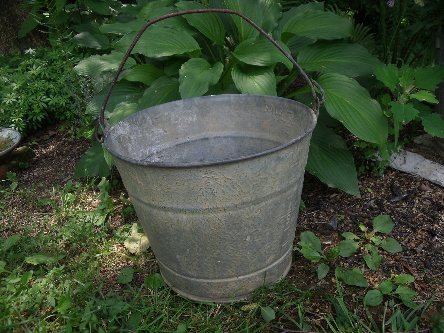 Vintage Galvanized Metal Bucket