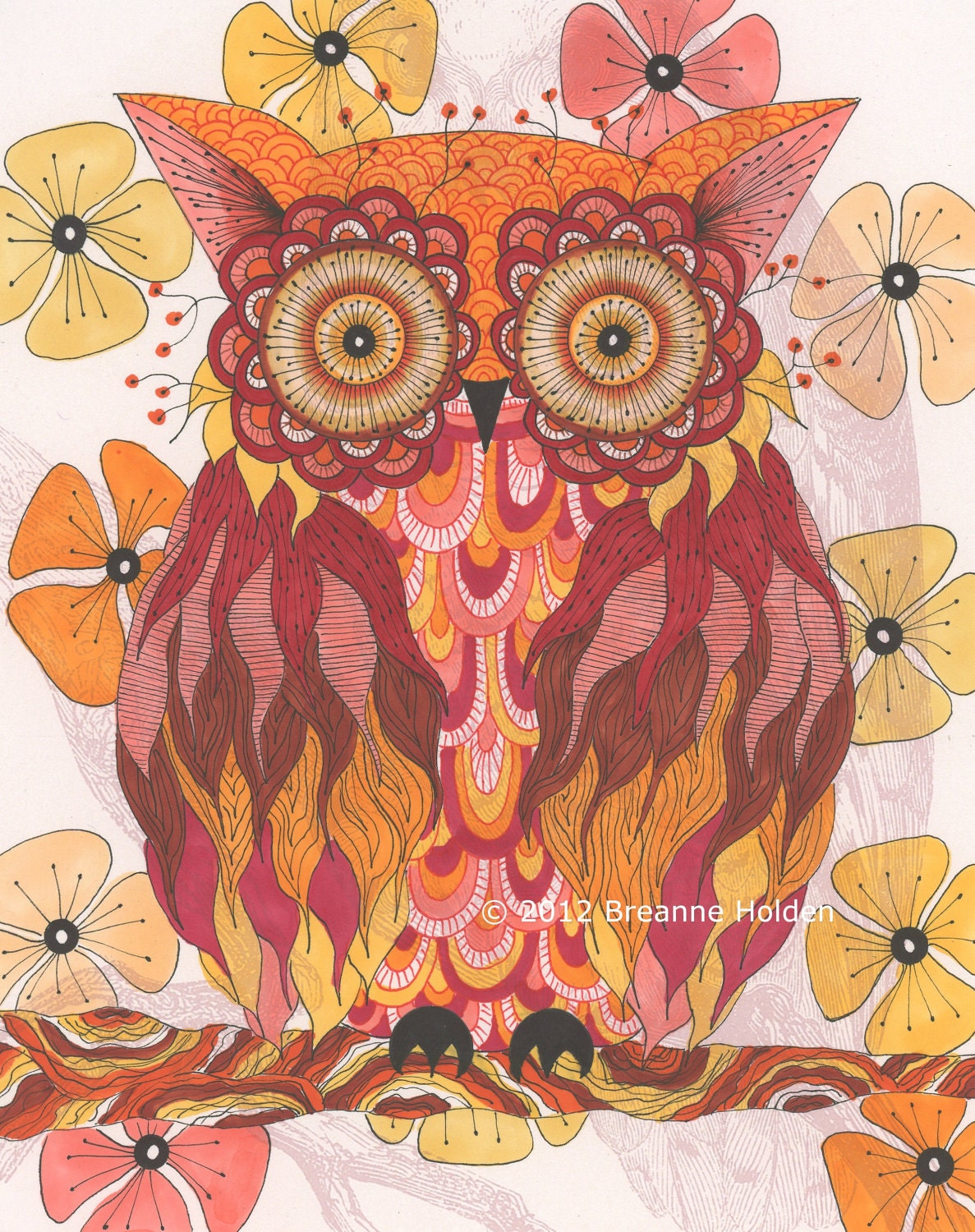 Vintage Owl Drawings