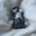 Surprised Kitty "Co-meme-orative" miniature in glazed porcelain, Celebrity Animal II