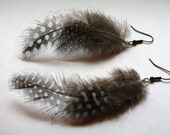 Brown Feather Earrings