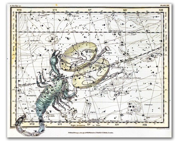 Zodiac Sign Libra Scorpio Constellations By Dejavuprintstore