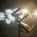 Deep Sea Angler Fish