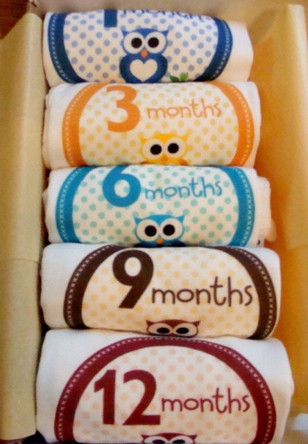 Set of 5 Month 2 Month Beautiful Owl Baby Onesies, Perfect Baby Shower Gift, Comes wrapped in Gift Wrap Paper