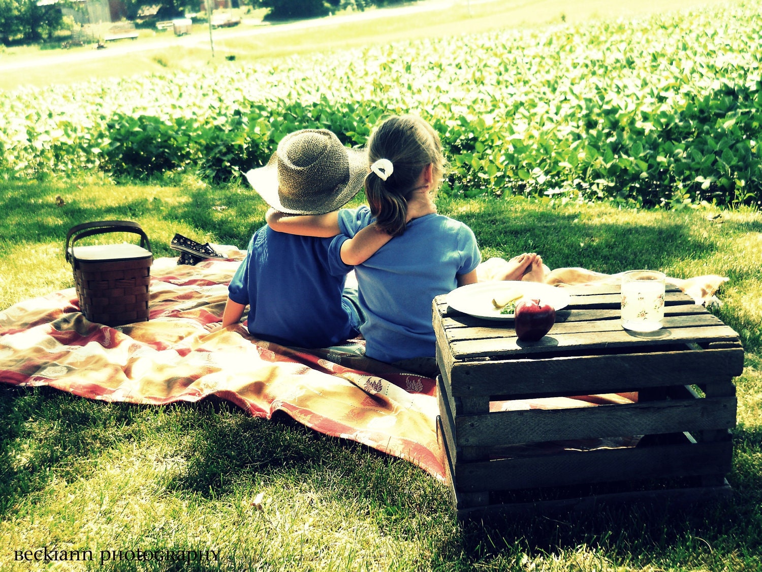 The Picnic 8x10 Photography Print