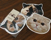 Cat face "FukuGomaMeme" postcard