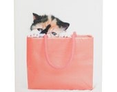 Canvas print panel A5 size - Meme the kitten