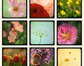 Flower photos, TTV, Nature Photography, Retro, Vintage, Faded, Nostalgia - set of nine 5x5 fine art photographs