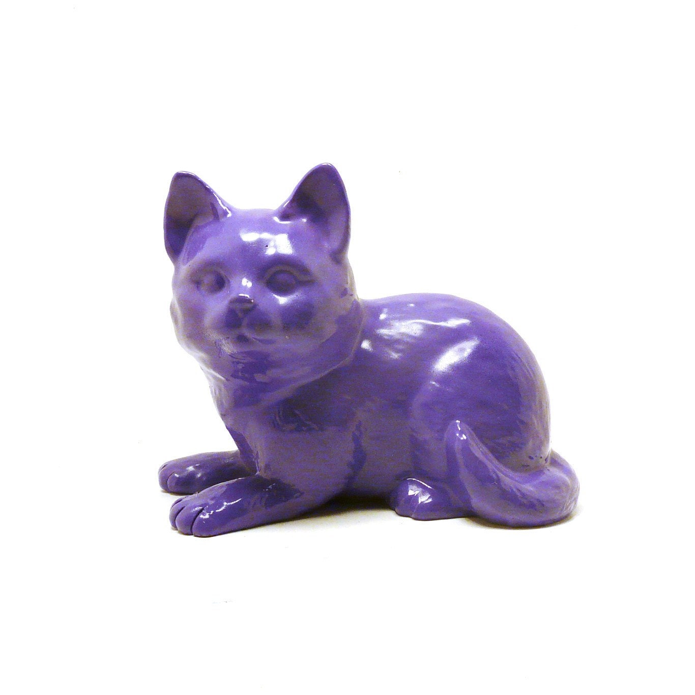 Real Purple Cat