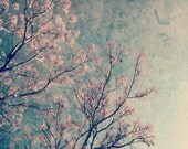 10x10 square art print, chocolate brown and pink branches against blue sky, iphoneography, home decor