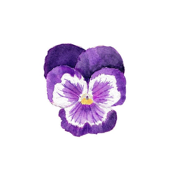 Purple Pansy Watercolor - 5 x 7 Print (unframed) - Spring, Summer, Garden - trowelandpaintbrush