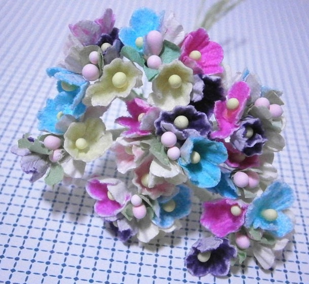 Forget Me Nots Flowers - mix colors