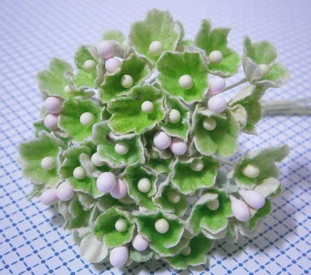 Forget Me Nots Flowers - Apple Green