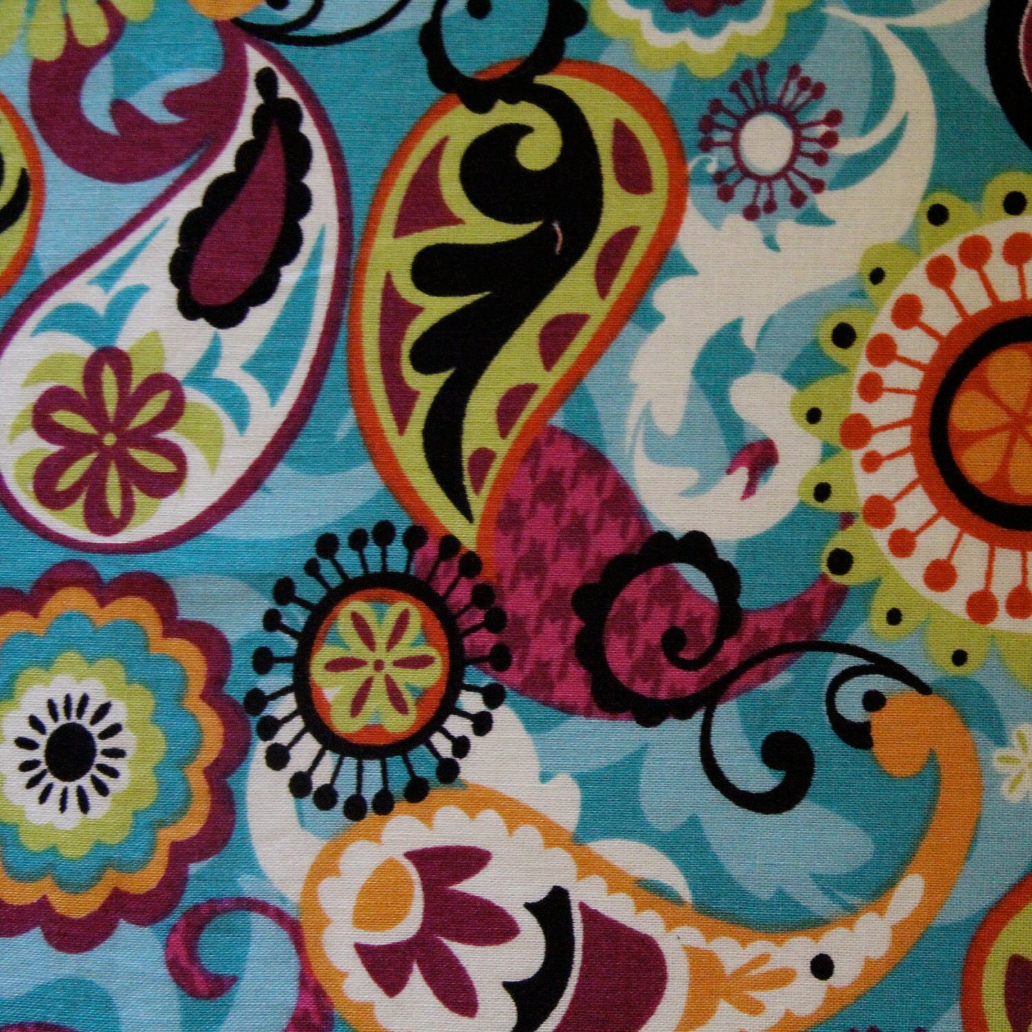 Funky Paisley