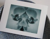 Abstract flower Art, Rorschach Polaroid Photo