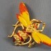 Vintage yellow bumble bee bug brooch (BP12)