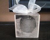 Black and White Photo Block Ornament or Door Hanger