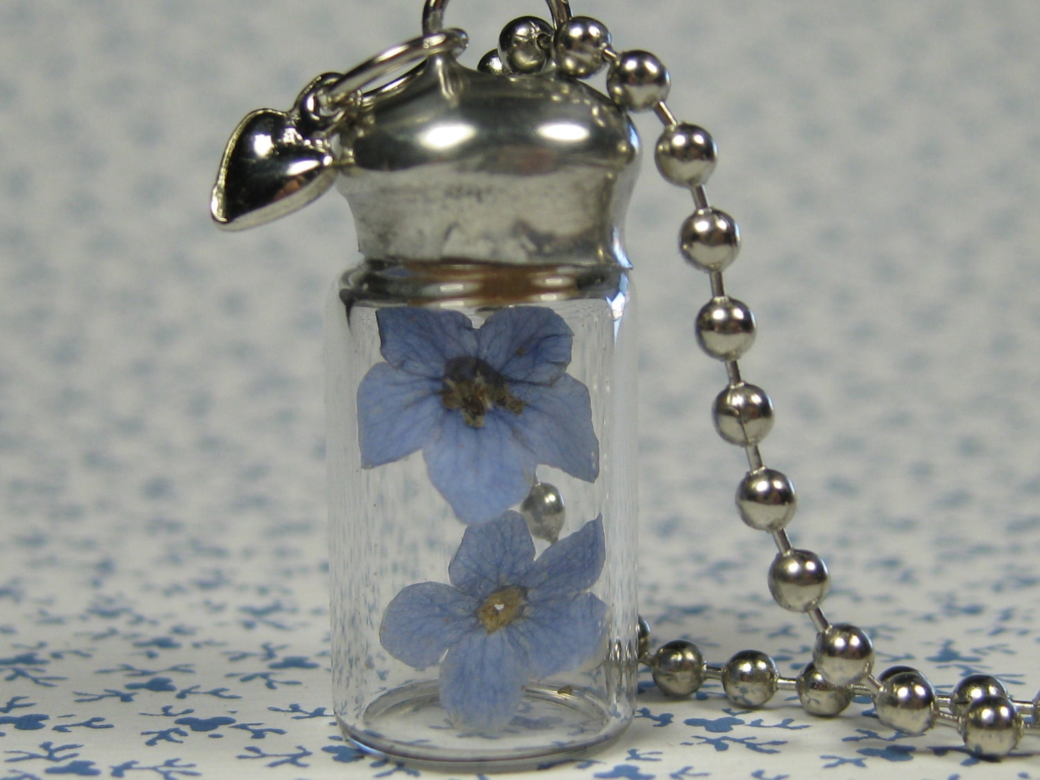 Forget Me Not Glass Vial Pendant with Real Forget Me not Flowers