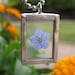 Silver Soldered Glass Pendant with a Real Forget Me Not Flower