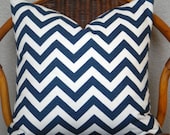 Zig Zag 18" Chevron Pillow Cover (Titan/Birch)