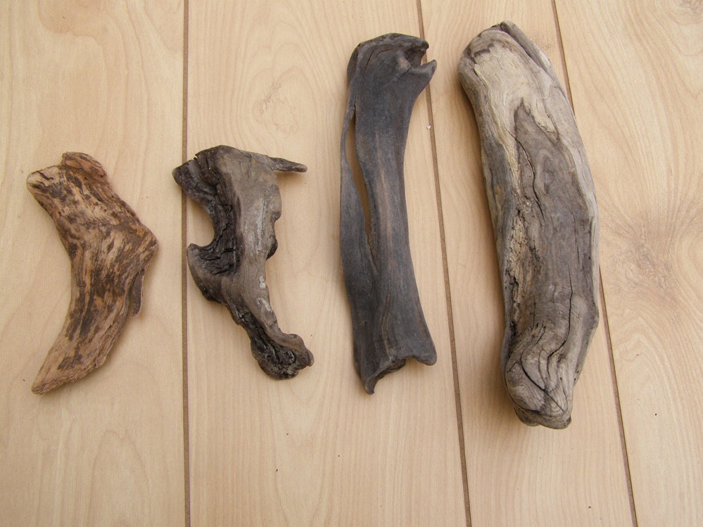Natural Driftwood Drift Wood from Lake Erie