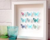 Small turquoise butterfly collection