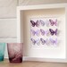 Butterfly collection purple in white frame
