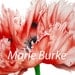 Oriental Poppy - large fine art botanical print, 16x 11 in, botanical watercolour, botanic illustration, botanic print.