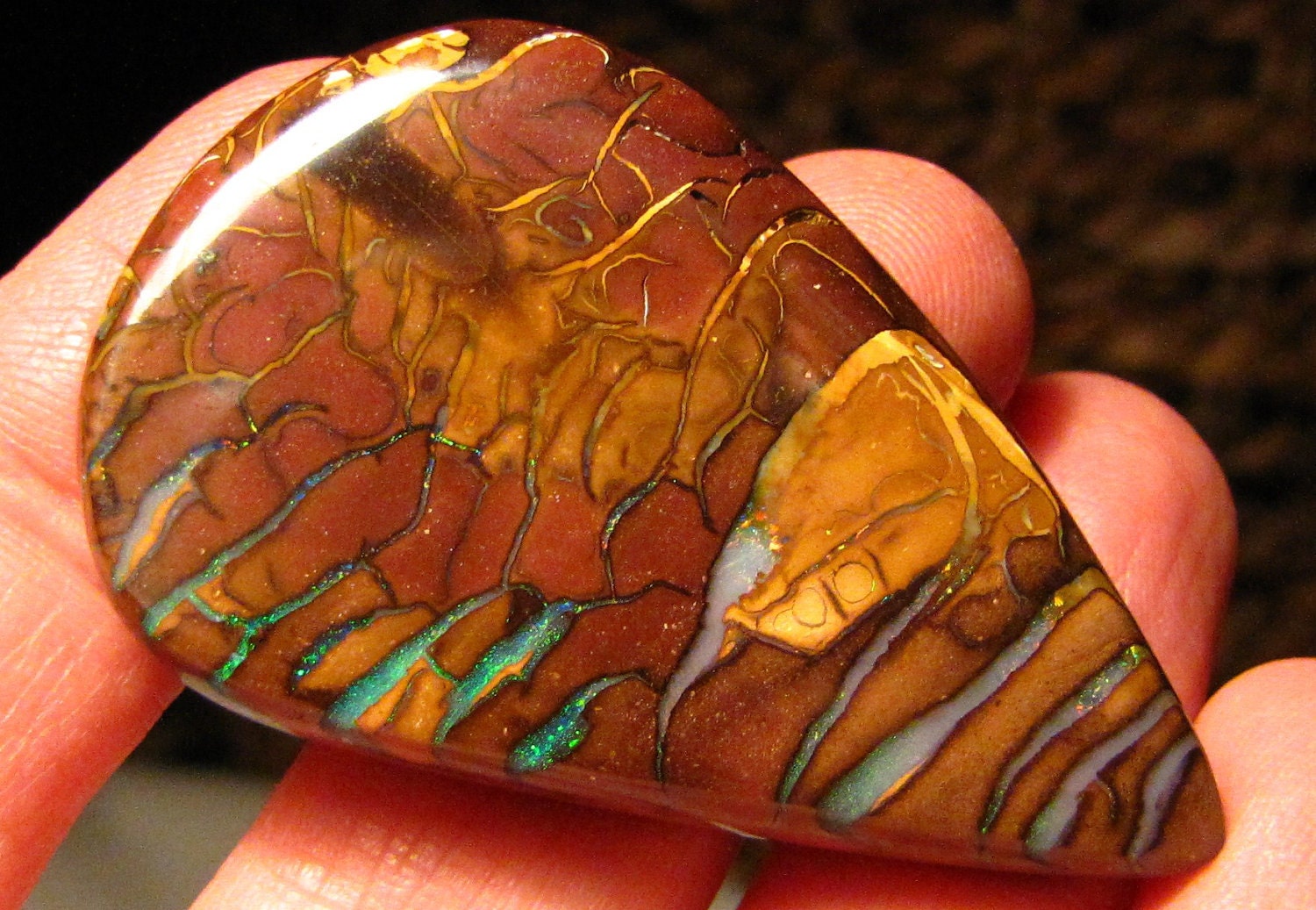 Collector Piece   ///  Koroit Boulder Opal Specimen  ////