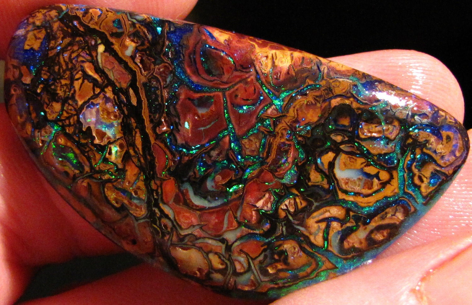 Collector Piece   ///  Koroit Boulder Opal Specimen  ////Best Offer
