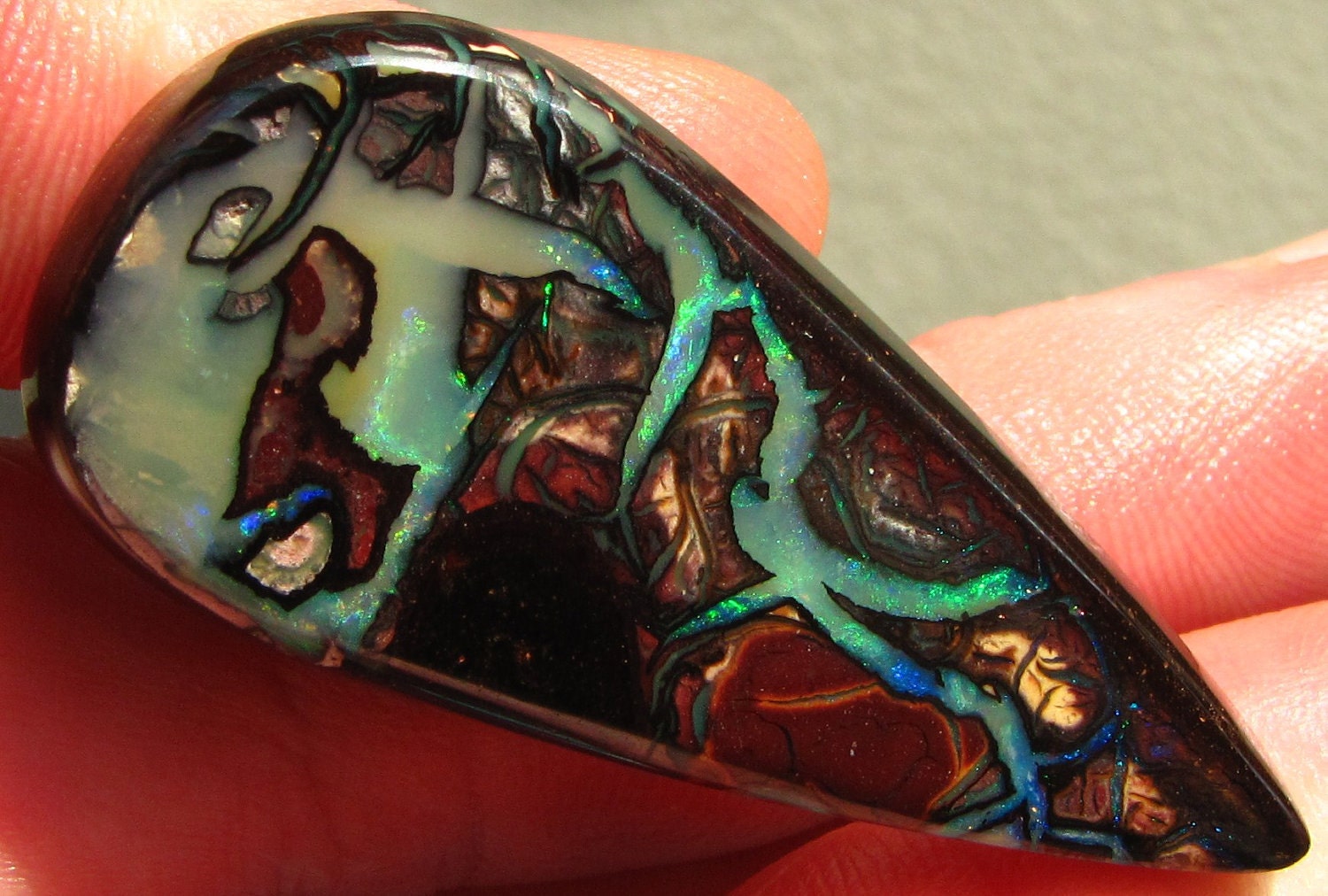 Collector Piece   ///  Koroit Boulder Opal Specimen  ////