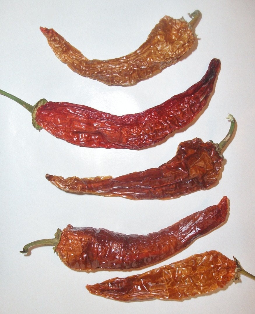 Heirloom Anaheim Peppers - 5 Red and Gold Dehydrated Peppers Homegrown Long with Perfect Seeds still Inside