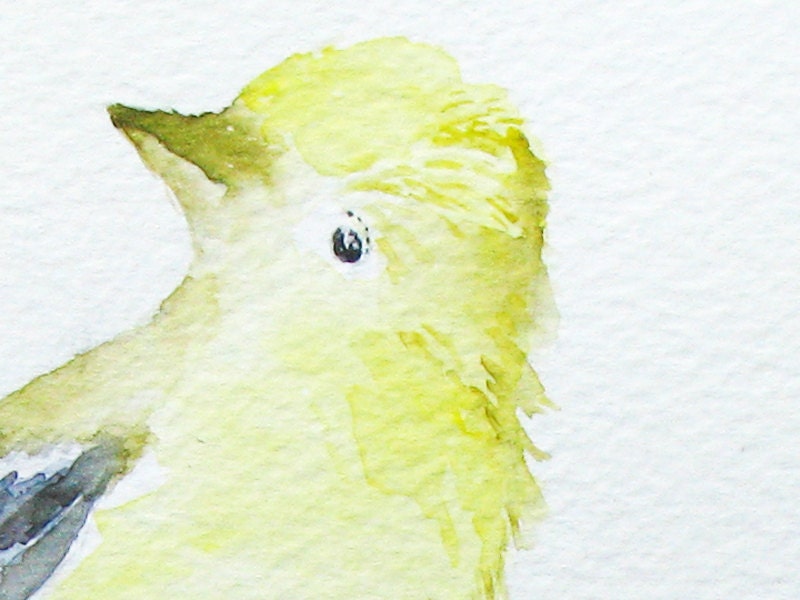 Tea Bird watercolor yellow goldfinch delft cup art print