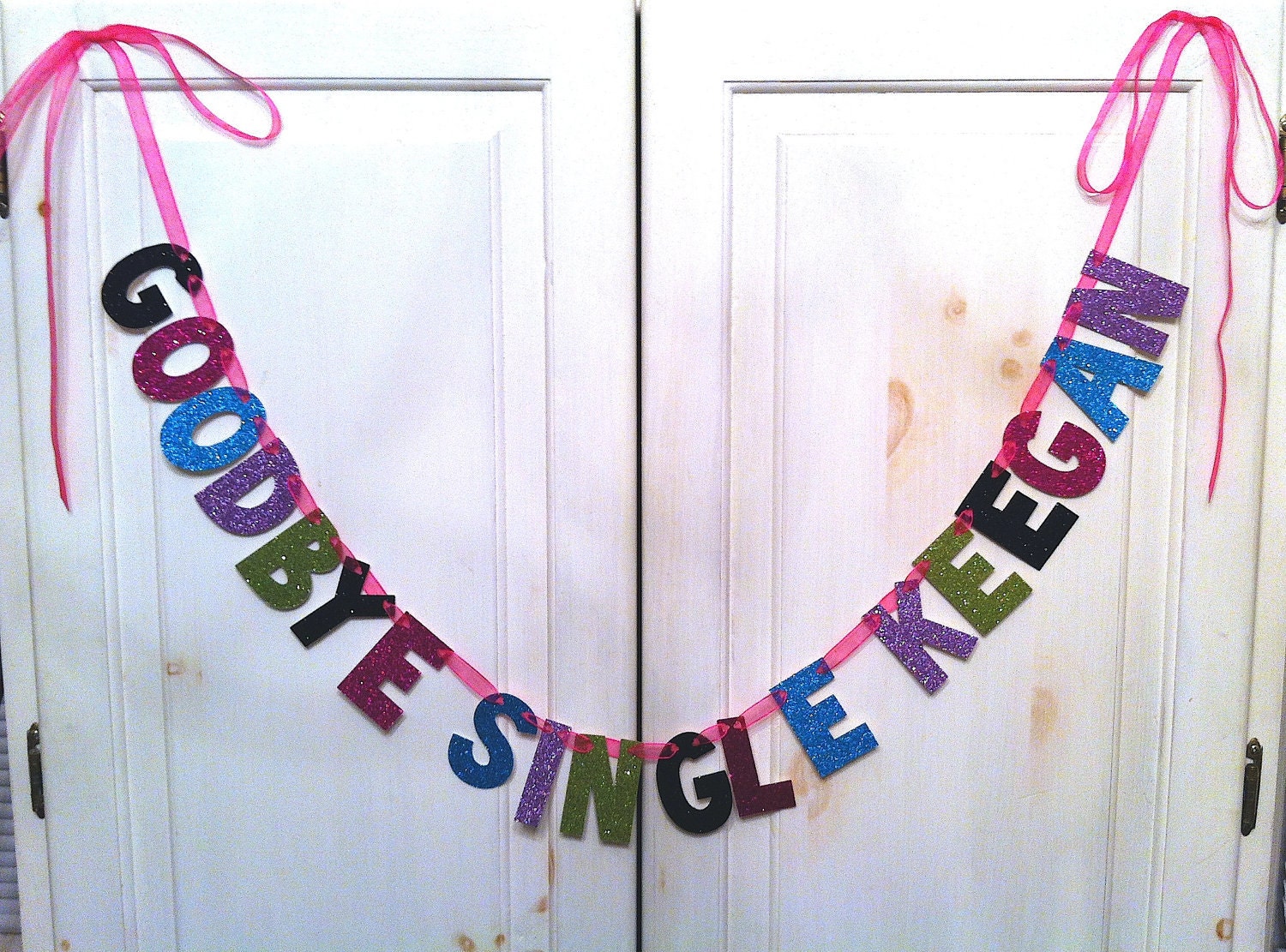 Custom Bachelorette Banner / Bachelorette Party Decoration / Bridal Shower / Photo Prop