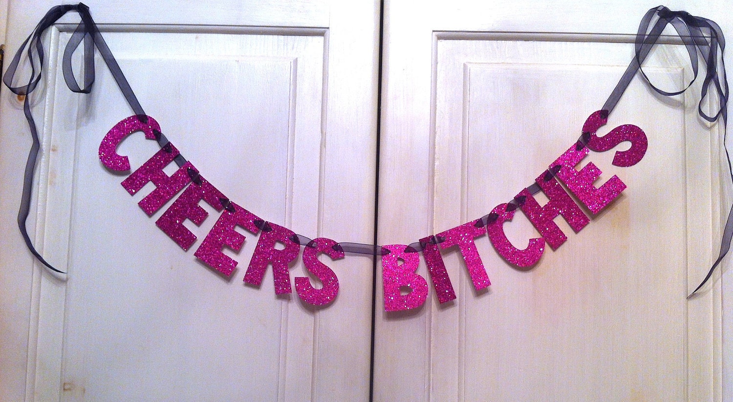CHEERS Bitches Glitter Banner / Bachelorette Party Decoration / Girls Night Decoration / Photo Prop